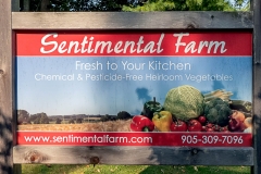 2090496-Sentimental-Farm