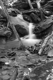 LR-Centennial Park Creek cascade b_w