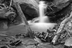 LR-Centennial Park Creek cascade b_w