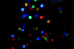 Tree with Lights Shot in the Dark