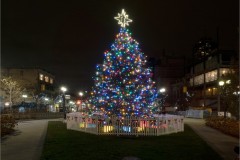 A Gore Park Christmas