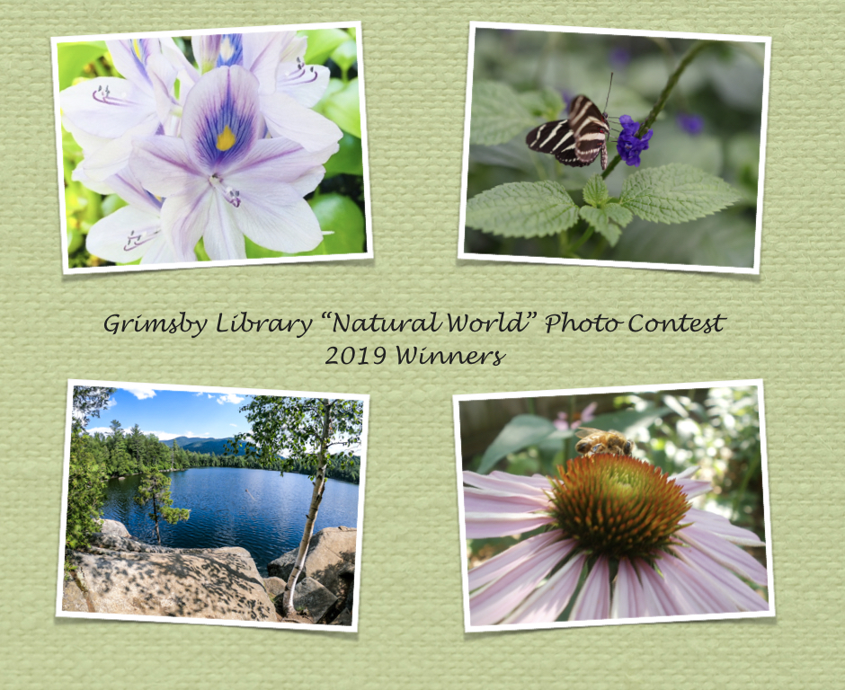 Grimsby Library Photo Contest – 2019